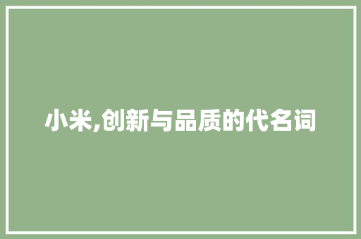 小米,创新与品质的代名词