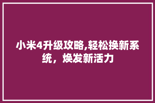 小米4升级攻略,轻松换新系统，焕发新活力