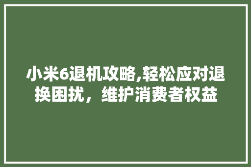 小米6退机攻略,轻松应对退换困扰，维护消费者权益 建站教程