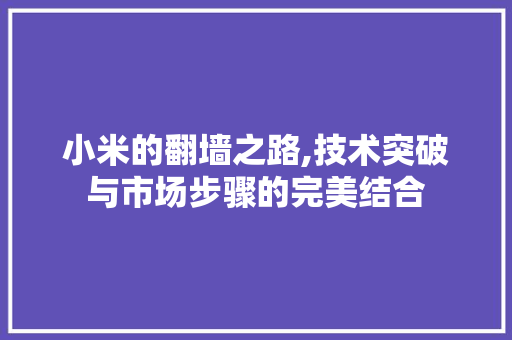 小米的翻墙之路,技术突破与市场步骤的完美结合