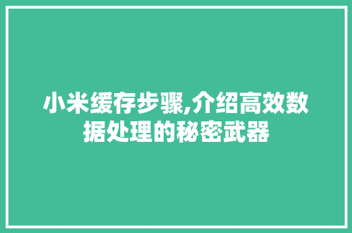 小米缓存步骤,介绍高效数据处理的秘密武器