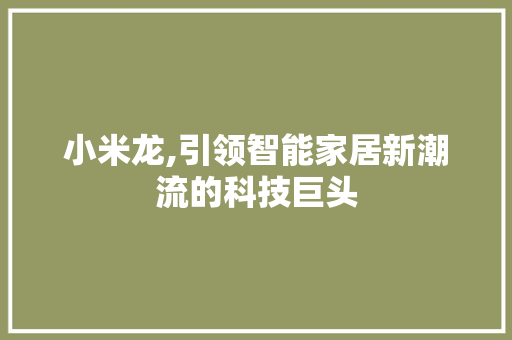 小米龙,引领智能家居新潮流的科技巨头