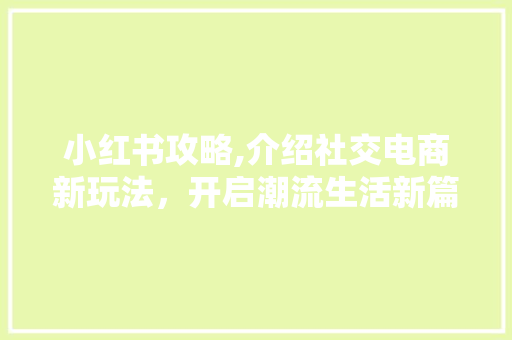 小红书攻略,介绍社交电商新玩法，开启潮流生活新篇章