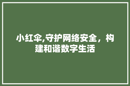 小红伞,守护网络安全，构建和谐数字生活