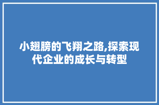小翅膀的飞翔之路,探索现代企业的成长与转型