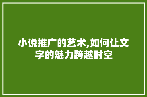 小说推广的艺术,如何让文字的魅力跨越时空