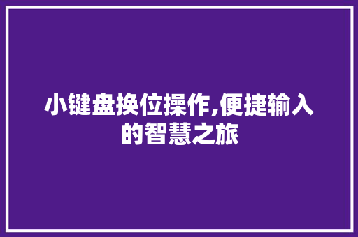 小键盘换位操作,便捷输入的智慧之旅