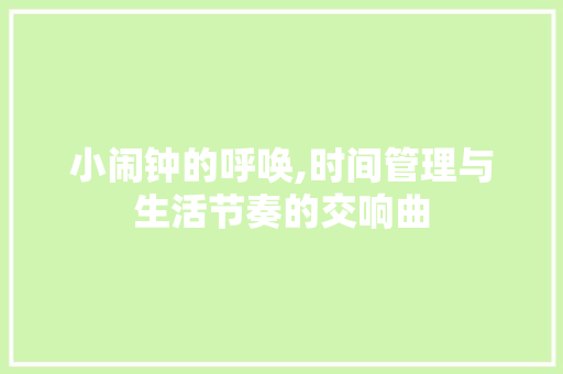小闹钟的呼唤,时间管理与生活节奏的交响曲