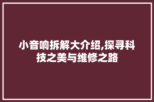 小音响拆解大介绍,探寻科技之美与维修之路