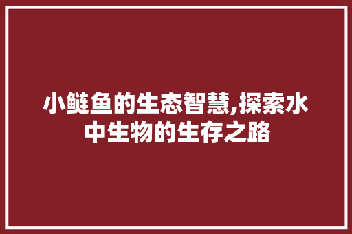 小鲢鱼的生态智慧,探索水中生物的生存之路