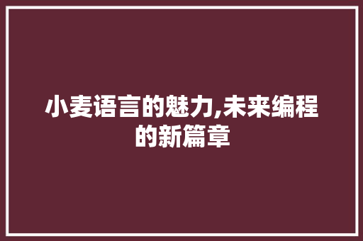 小麦语言的魅力,未来编程的新篇章