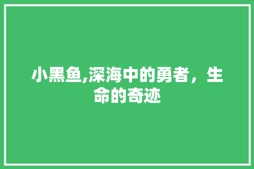小黑鱼,深海中的勇者，生命的奇迹