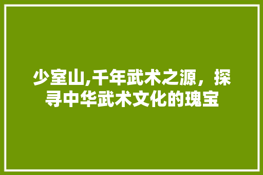 少室山,千年武术之源，探寻中华武术文化的瑰宝
