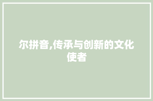 尔拼音,传承与创新的文化使者