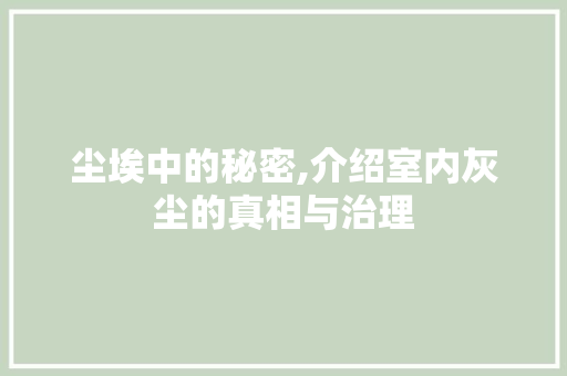 尘埃中的秘密,介绍室内灰尘的真相与治理
