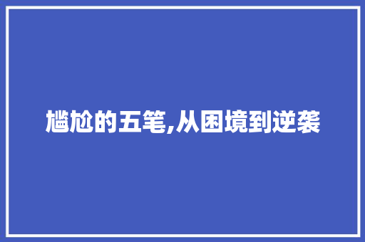 尴尬的五笔,从困境到逆袭