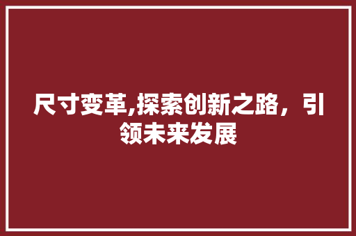 尺寸变革,探索创新之路，引领未来发展