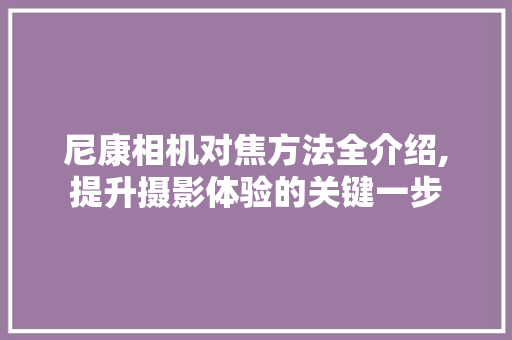 尼康相机对焦方法全介绍,提升摄影体验的关键一步
