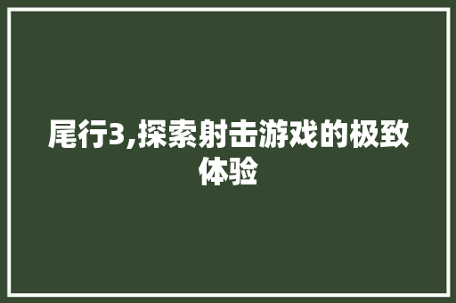 尾行3,探索射击游戏的极致体验 Web前端