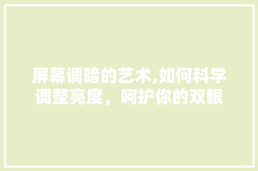 屏幕调暗的艺术,如何科学调整亮度，呵护你的双眼