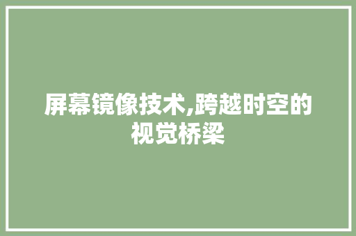 屏幕镜像技术,跨越时空的视觉桥梁