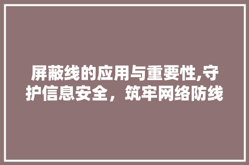 屏蔽线的应用与重要性,守护信息安全，筑牢网络防线