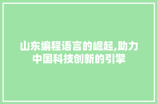 山东编程语言的崛起,助力中国科技创新的引擎
