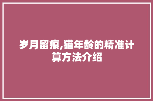 岁月留痕,猫年龄的精准计算方法介绍