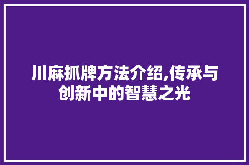 川麻抓牌方法介绍,传承与创新中的智慧之光