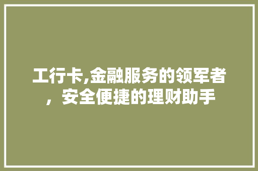 工行卡,金融服务的领军者，安全便捷的理财助手