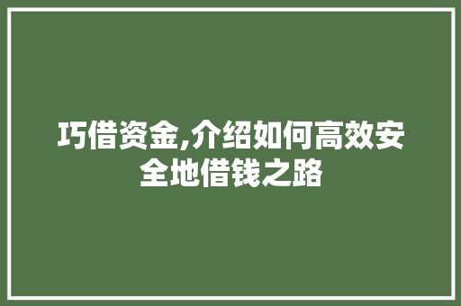 巧借资金,介绍如何高效安全地借钱之路