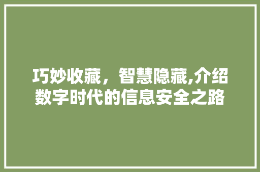 巧妙收藏，智慧隐藏,介绍数字时代的信息安全之路