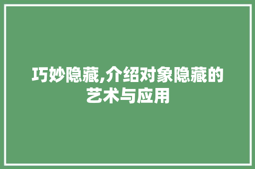 巧妙隐藏,介绍对象隐藏的艺术与应用