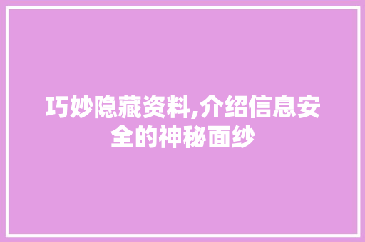 巧妙隐藏资料,介绍信息安全的神秘面纱