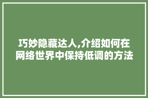 巧妙隐藏达人,介绍如何在网络世界中保持低调的方法