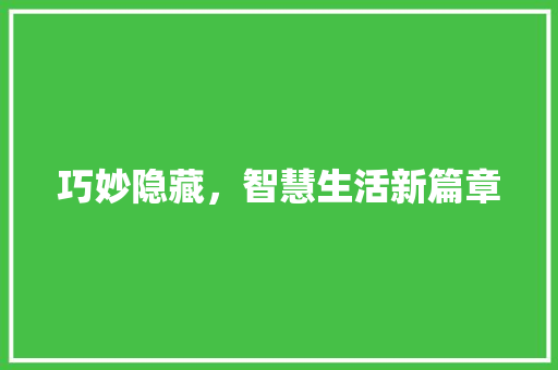 巧妙隐藏，智慧生活新篇章