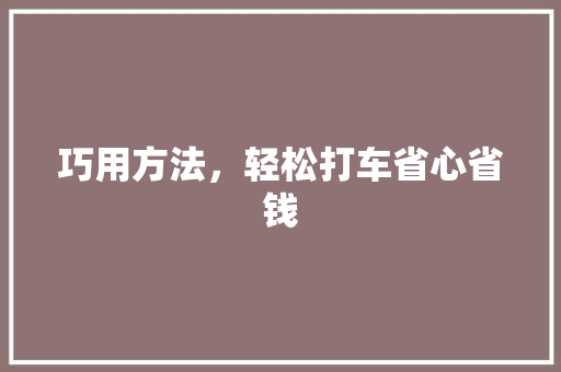 巧用方法，轻松打车省心省钱