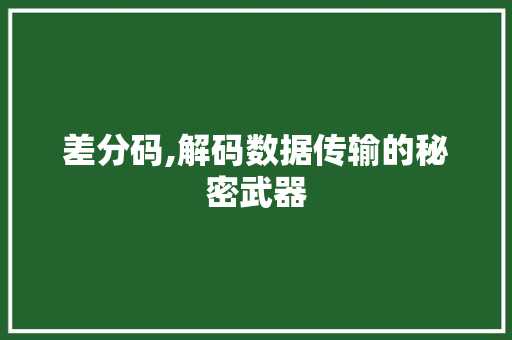 差分码,解码数据传输的秘密武器