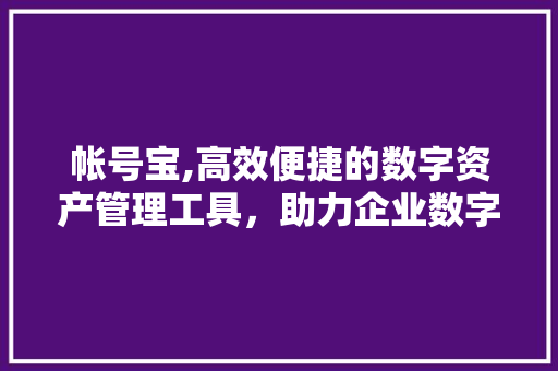 帐号宝,高效便捷的数字资产管理工具，助力企业数字化转型