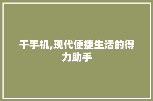 干手机,现代便捷生活的得力助手