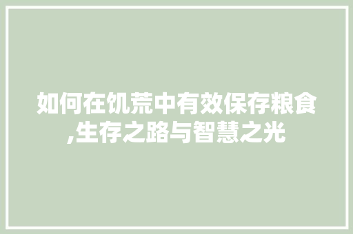如何在饥荒中有效保存粮食,生存之路与智慧之光