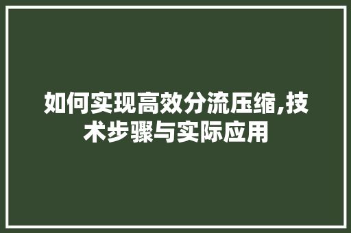 如何实现高效分流压缩,技术步骤与实际应用