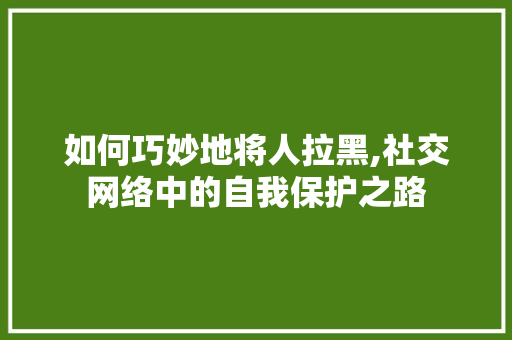 如何巧妙地将人拉黑,社交网络中的自我保护之路
