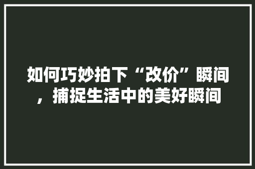 如何巧妙拍下“改价”瞬间，捕捉生活中的美好瞬间
