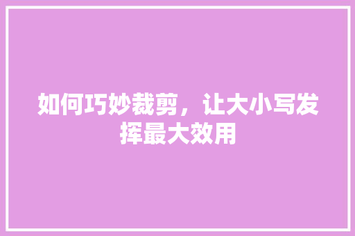 如何巧妙裁剪，让大小写发挥最大效用