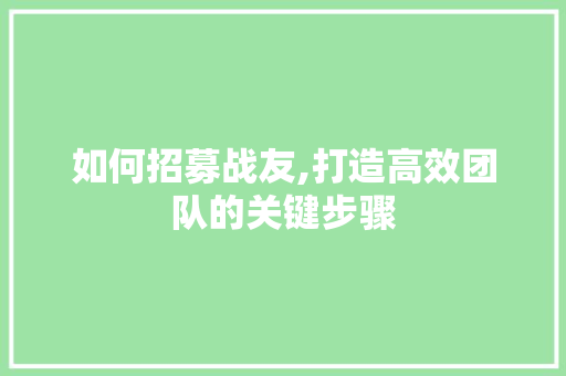 如何招募战友,打造高效团队的关键步骤