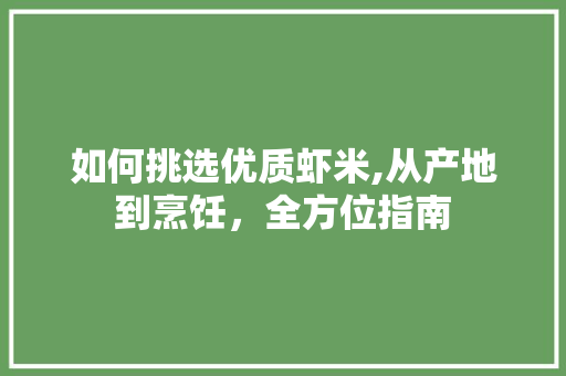 如何挑选优质虾米,从产地到烹饪，全方位指南
