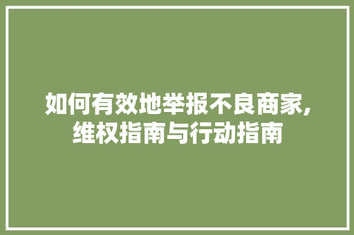 如何有效地举报不良商家,维权指南与行动指南