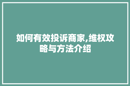 如何有效投诉商家,维权攻略与方法介绍 Web前端