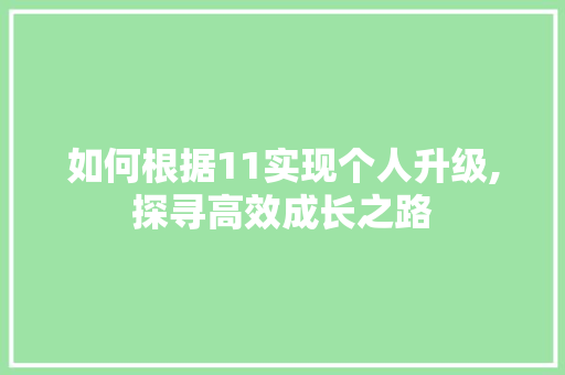 如何根据11实现个人升级,探寻高效成长之路